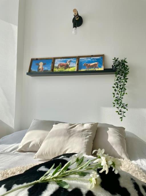 Ferienwohnung La Mascotte Saint-Louis  Exterior foto